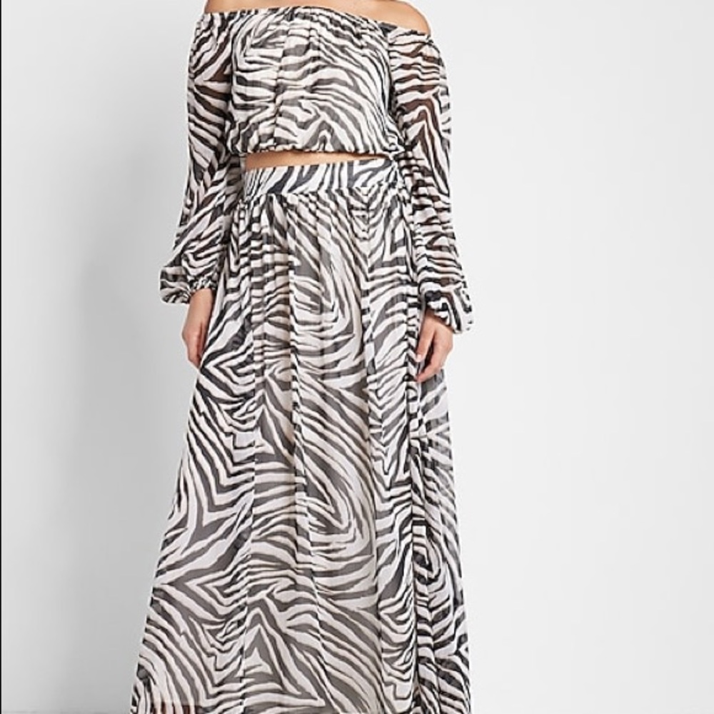 Rachel Zoe Zebra Printed Maxi Skirt, Size Large